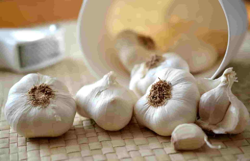 garlic for immunity