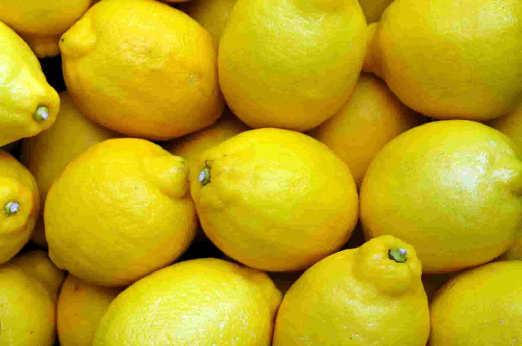 lemon for immunity