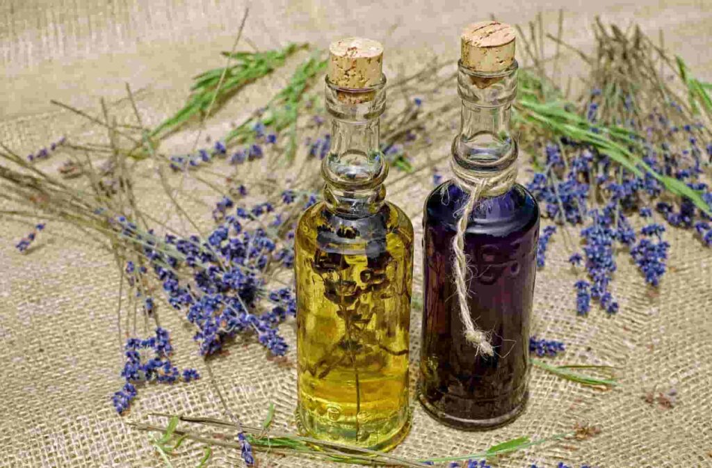 Eucalyptus or Lavender Oil to get rid of headache