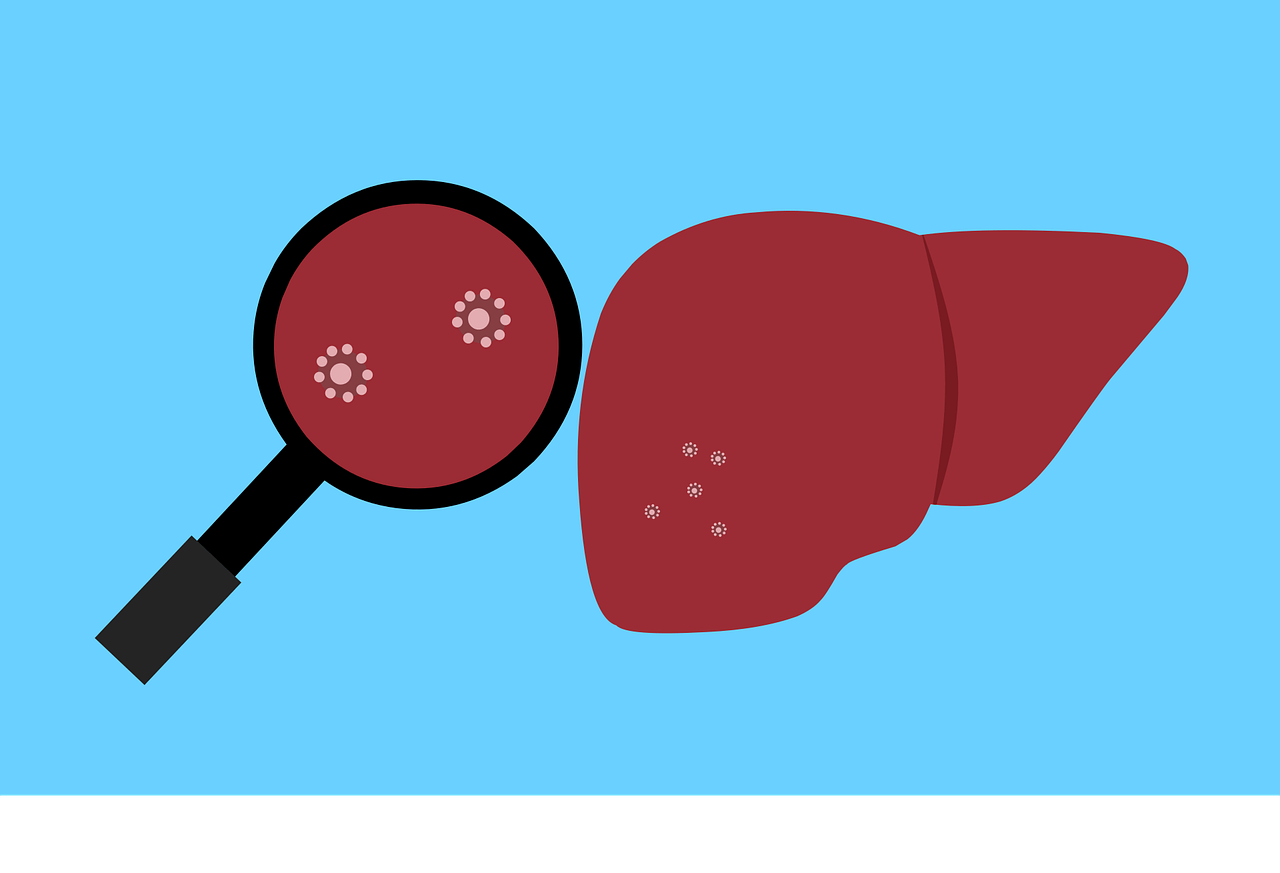 liver